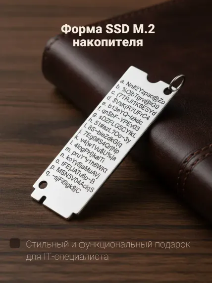 Подвеска Passwords Storage - подвеска из серебра, визуализация 1