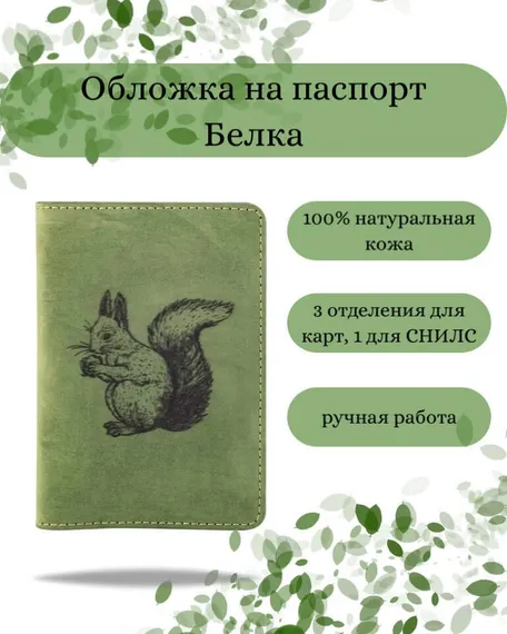 Обложка на паспорт Белка зеленого цвета, фото с инфографикой