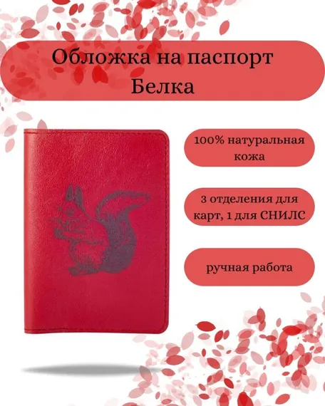 Обложка на паспорт Белка красного цвета, фото с инфографикой