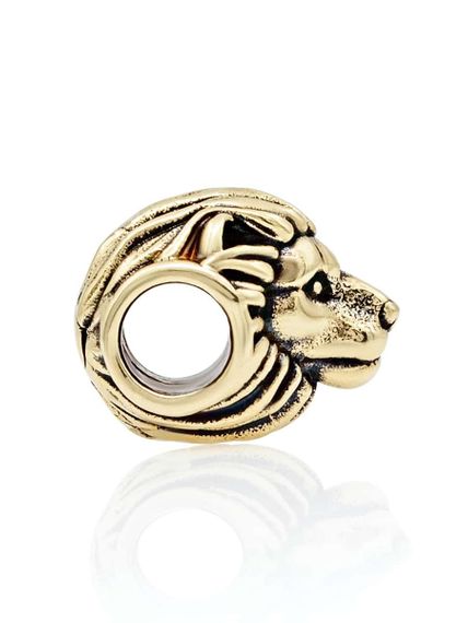 Фотография бронзового шарма головы льва вид слева.