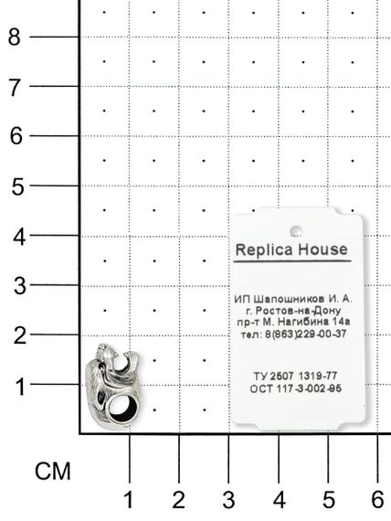 Фото на размерной сетке головы тигра из серебра в масштабе.