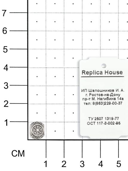 Фотография шарма Агисхьяльм из серебра 925 пробы на размерной сетке.