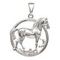 Подвеска Лошадь в круге - кулон из серебра 925 пробы, вид 1