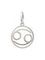 Подвеска Знак зодиака Рак из серебра, вид спереди