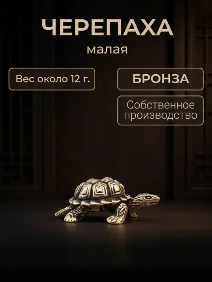 Черепаха фигурка бронзовая малая, обложка
