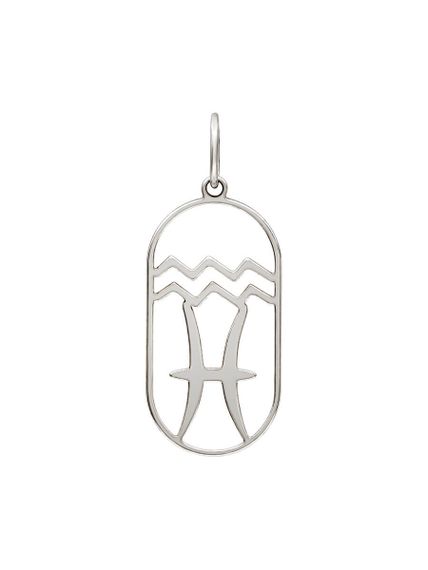 Подвеска Куспид Водолей-Рыбы из серебра, вид сзади