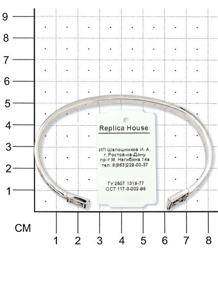 Браслет скандинавский жёсткий с руническими ставами рунами из серебра на размерной сетке