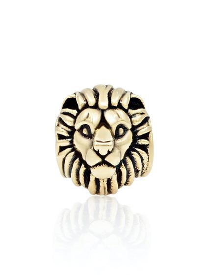 Фотография бронзовой головы льва вид шарма в анфас.