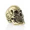 Бусина череп Skull Victory