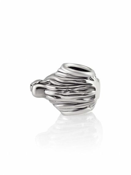 Изображение шарма подвески лев на правом боку.