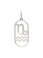 Куспид Козерог-Водолей - подвеска из серебра