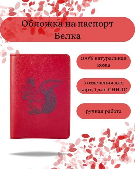 Обложка на паспорт Белка красного цвета, фото с инфографикой