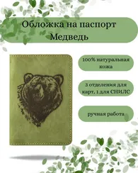 Обложка Медведь