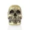 Фото бронзовой бусины Skull Victory в профиль на белом фоне.