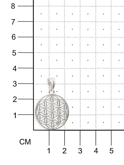 Фото подвески Цветок жизни средний из серебра, на размерной сетке.