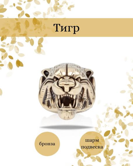 Шарм Тигр из бронзы, фото с инфографикой