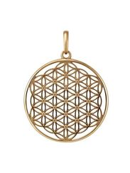 Цветок жизни - подвеска из серебра с позолотой