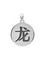 Китайский знак зодиака Дракон подвеска из серебра 925 пробы, вид сзади