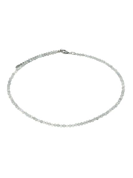 Фото чокер из лабрадор 2165/3_лабрадор на белом фоне анфас